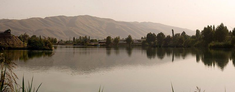 --- фото превью