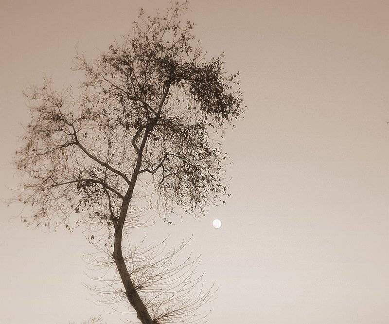 jason, mraz, Slowhill