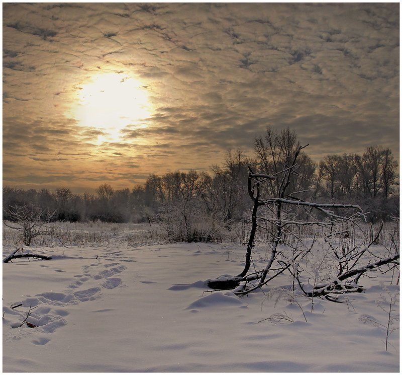 ПУТЬ К ЗВЕЗДЕ... фото превью