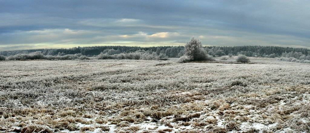 , Павел Дунюшкин