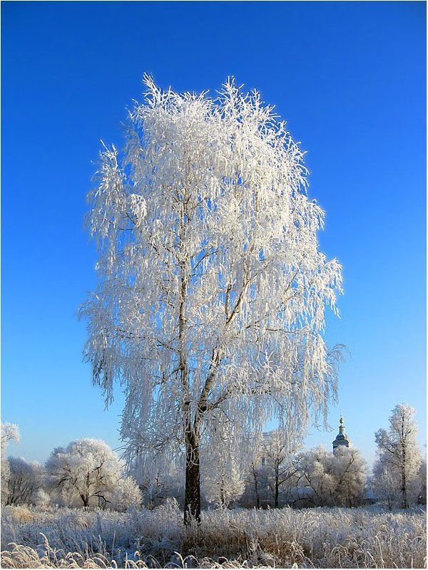 Под небом голубым... фото превью