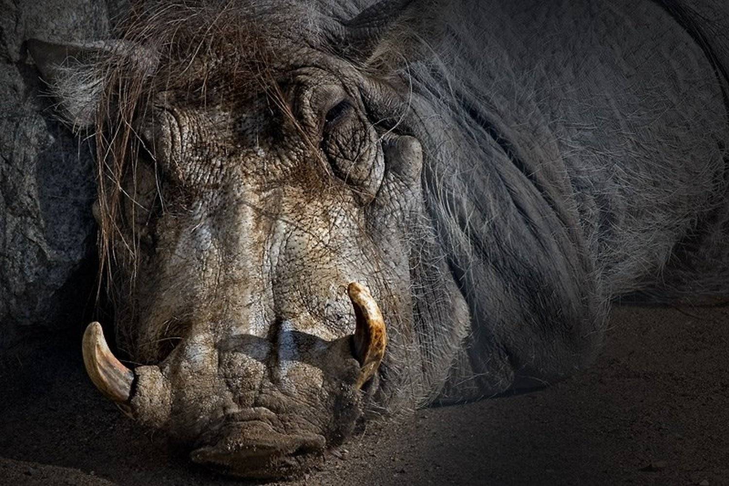 , Ольга Новикова