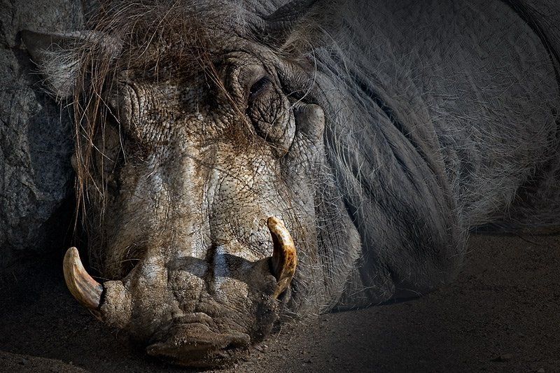 После Нового года...) фото превью