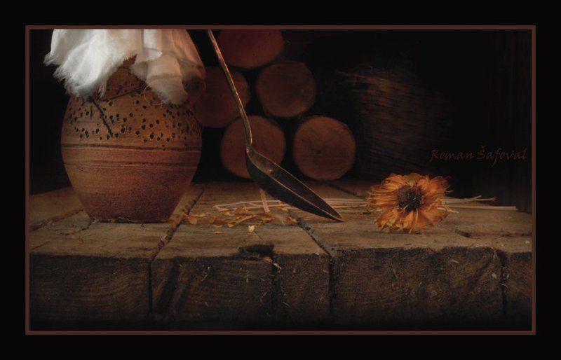 Про одиночество цветка, весну который недождался... фото превью