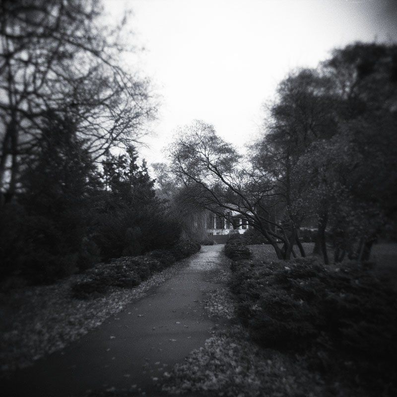 пейзаж, киев, вднх ### фото превью