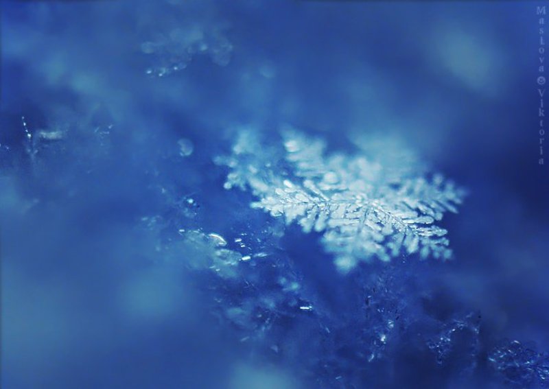 Снежинка фото превью