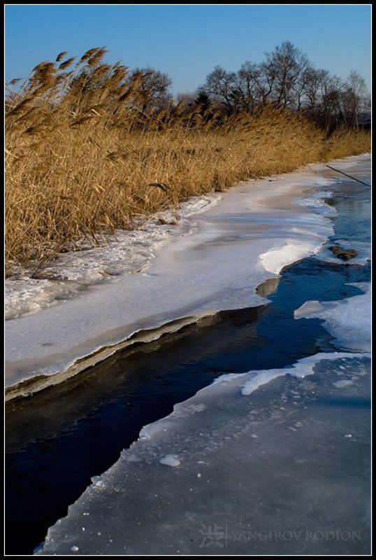 зима, снег Зимнее настроение фото превью
