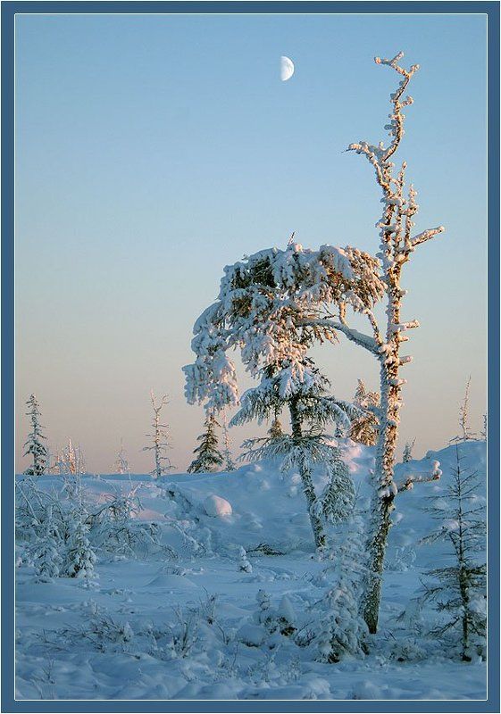 Лунный день фото превью