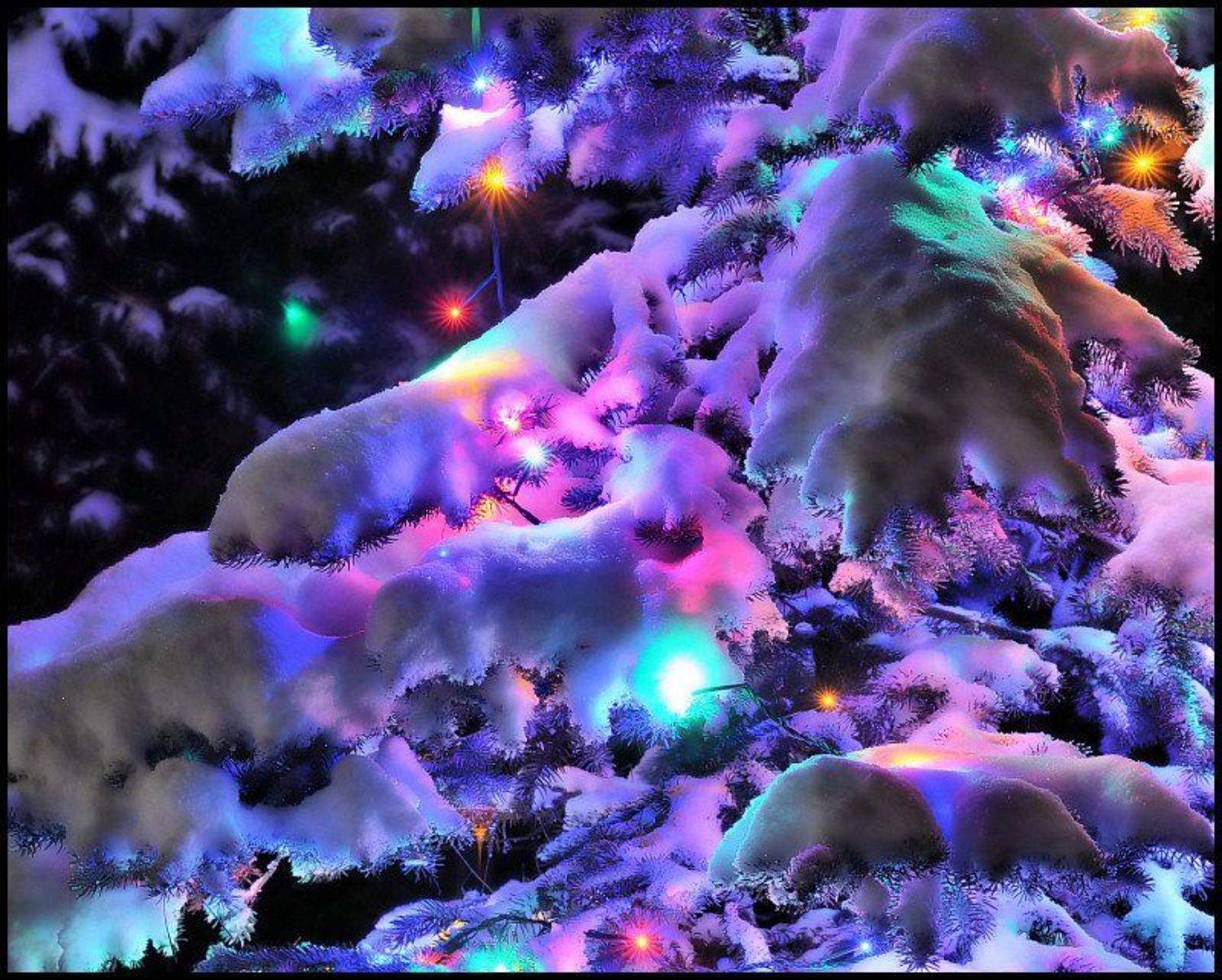 , Cairns (Павел Васильев)