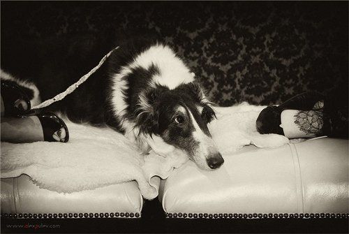 куда пойти, куда податься ?