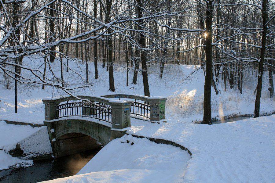 , Павел Дунюшкин