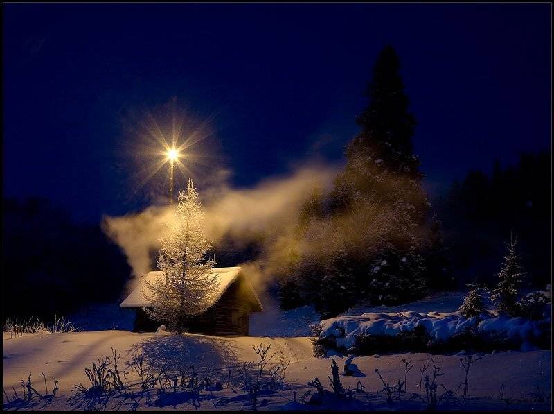 , Милый Ёжка