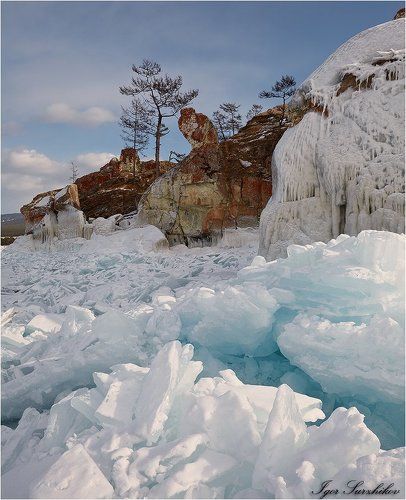 Сокол