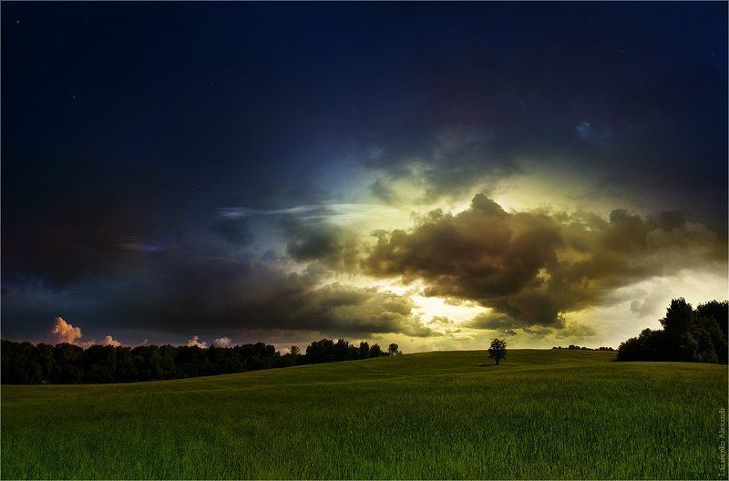 одинокое дерево, дерево, пейзаж, небо, красиво, красивое небо, поляна, поле, дерево в поле один под небом фото превью