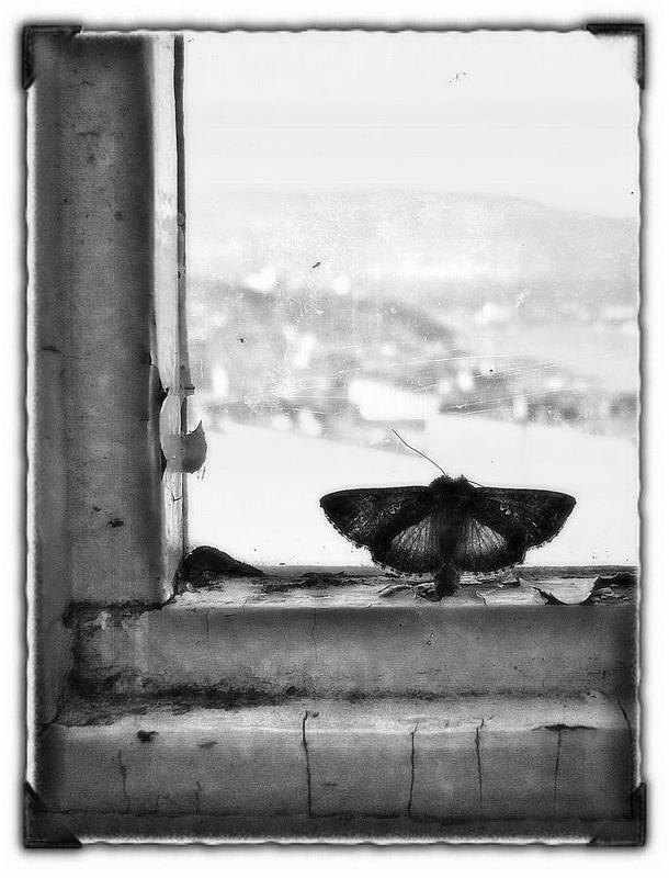 мне бы в небо.. фото превью