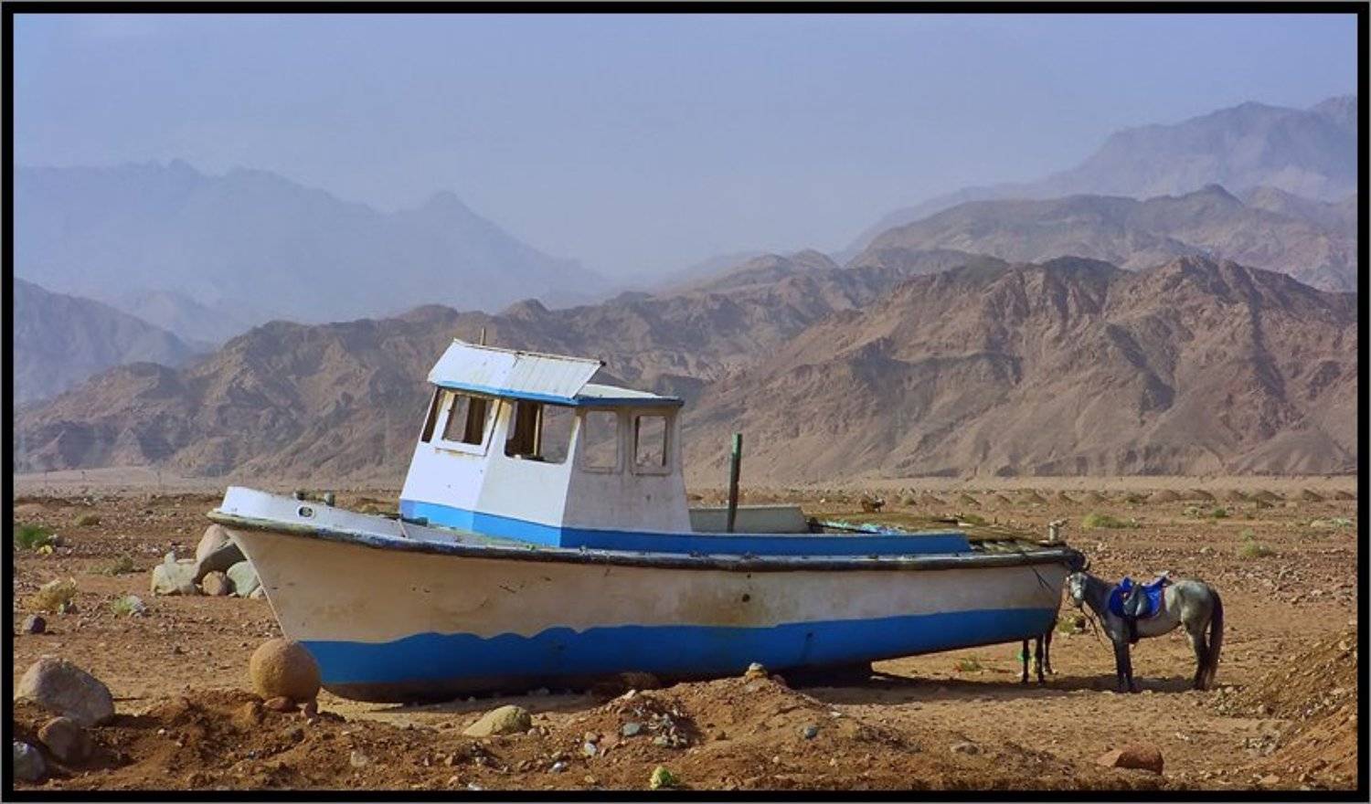 , Лунный Ежик