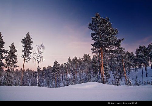 Про хорошую зиму.