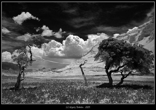 из серии # Психоделический Тибет #