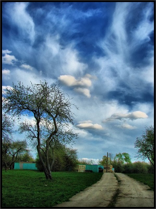 Летом в Коломенском фото превью