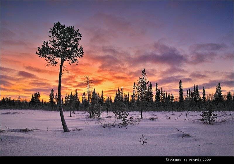 мурманск,полярная ночь,солнце, Александр Рогачёв