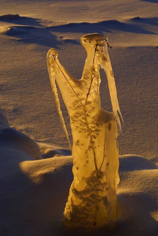 Инопланетянин фото превью