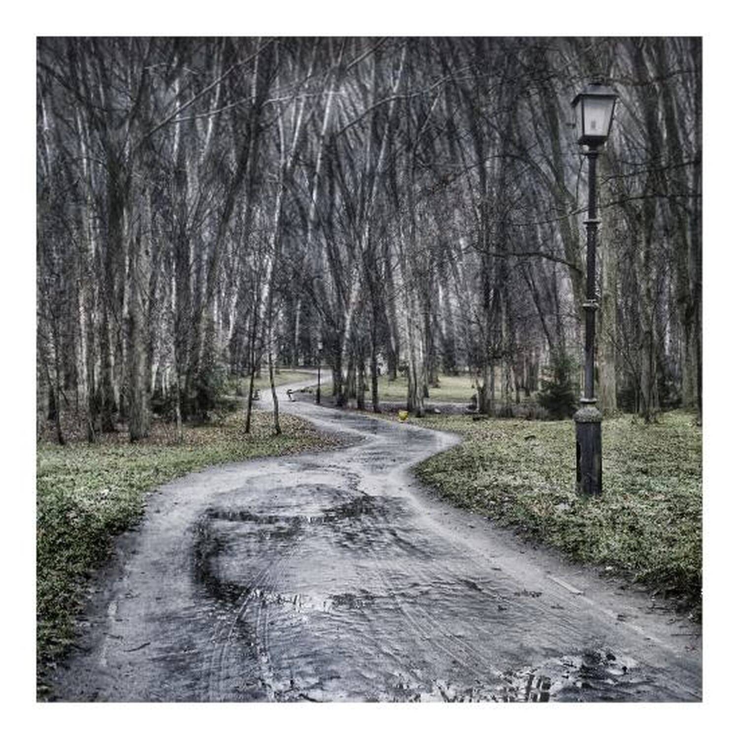 art, photo, autumn, old, park, fog, Sema