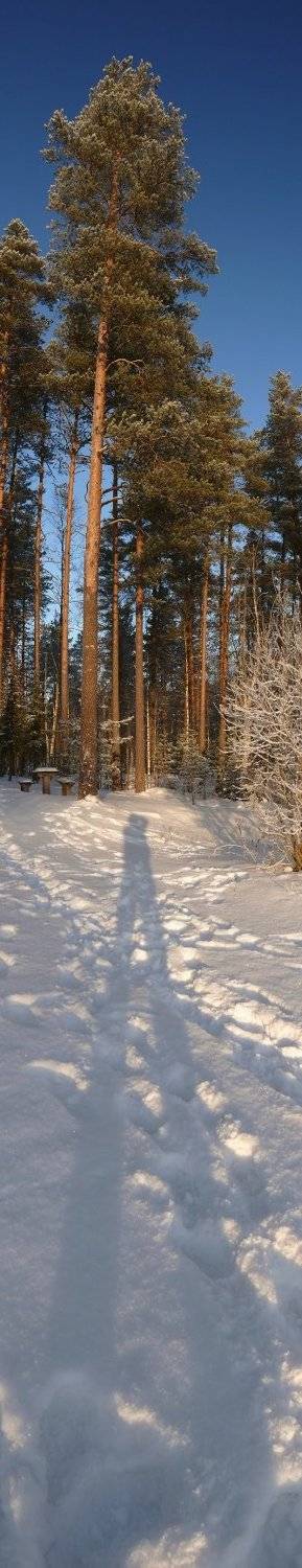 зима, Алексей (zooooom)