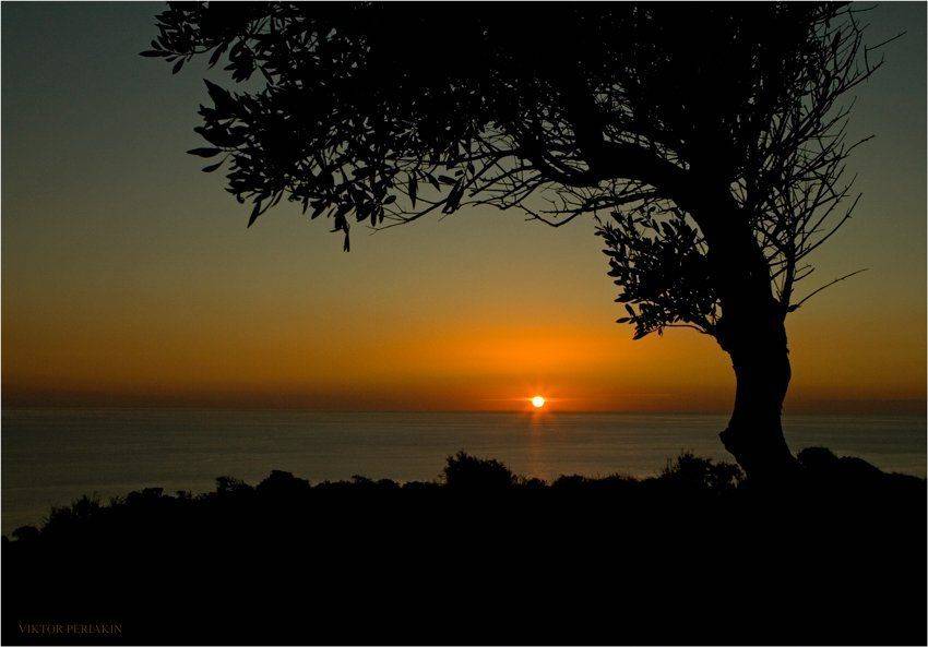 закат, дерево, кипр, берег, Виктор Перякин
