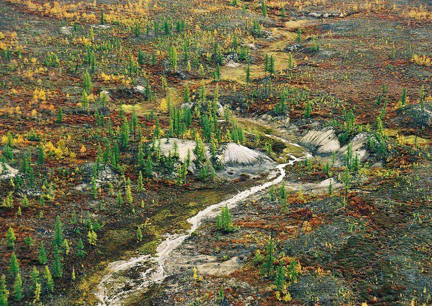 север,природа,осень, Danil Husainov