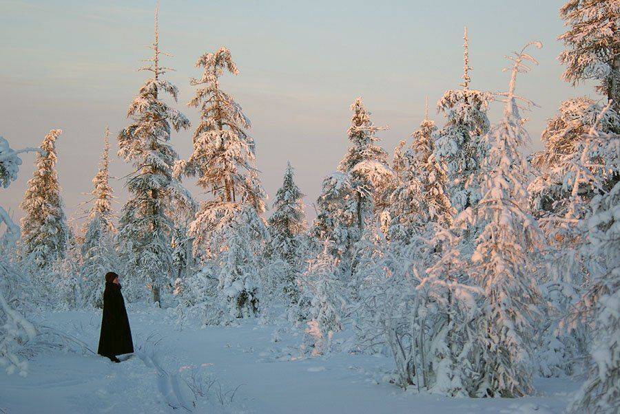 тайга,зима, Солодухин Виктор
