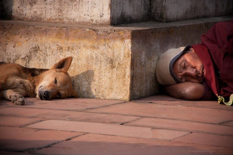 ... фото превью