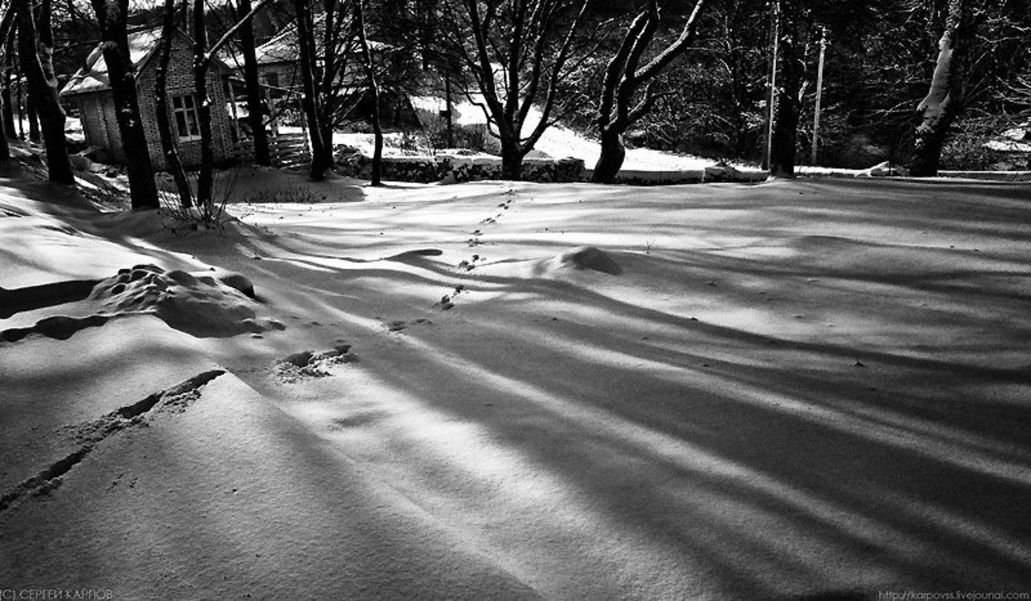 пейзаж, тени, Сергей Карпов
