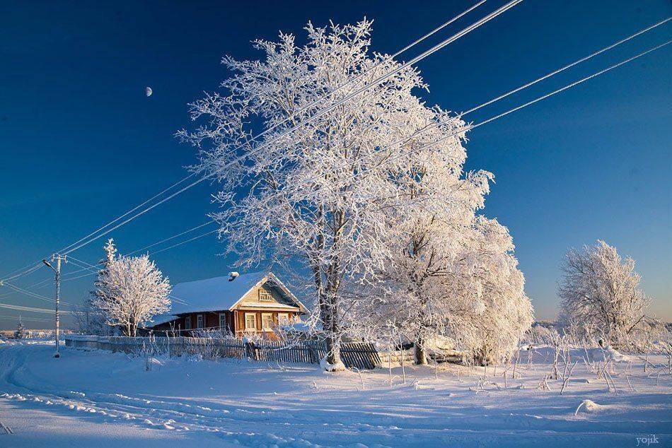 , Милый Ёжка