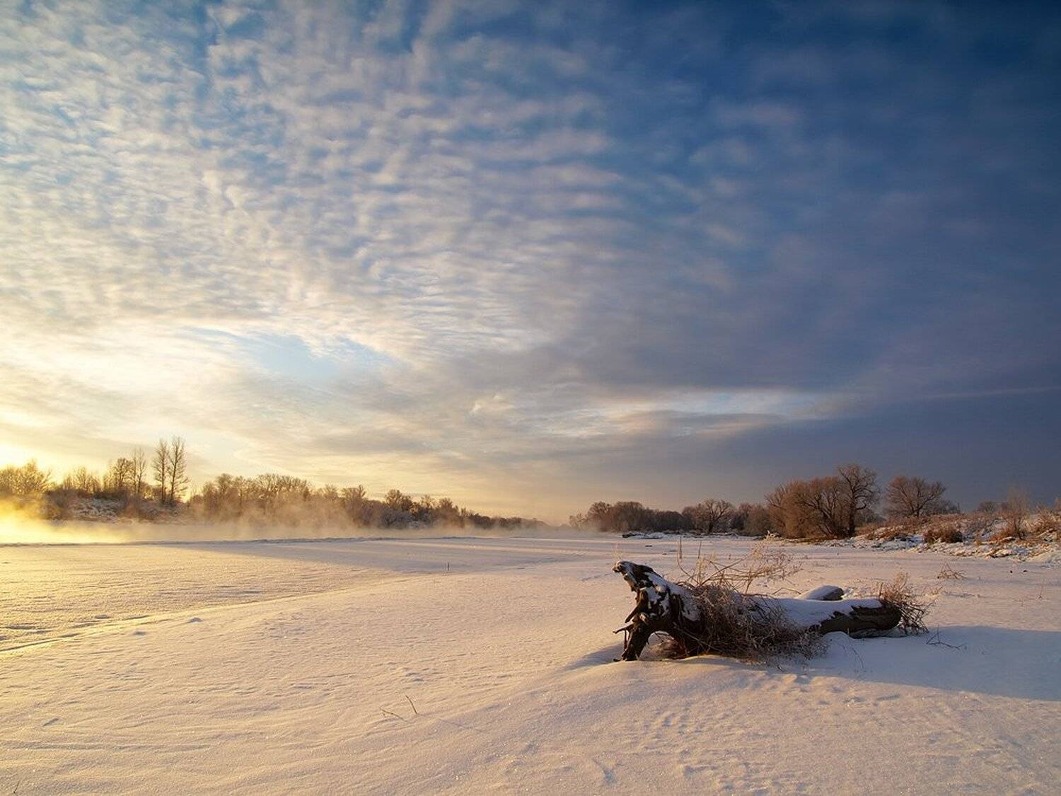 , Максим Евдокимов