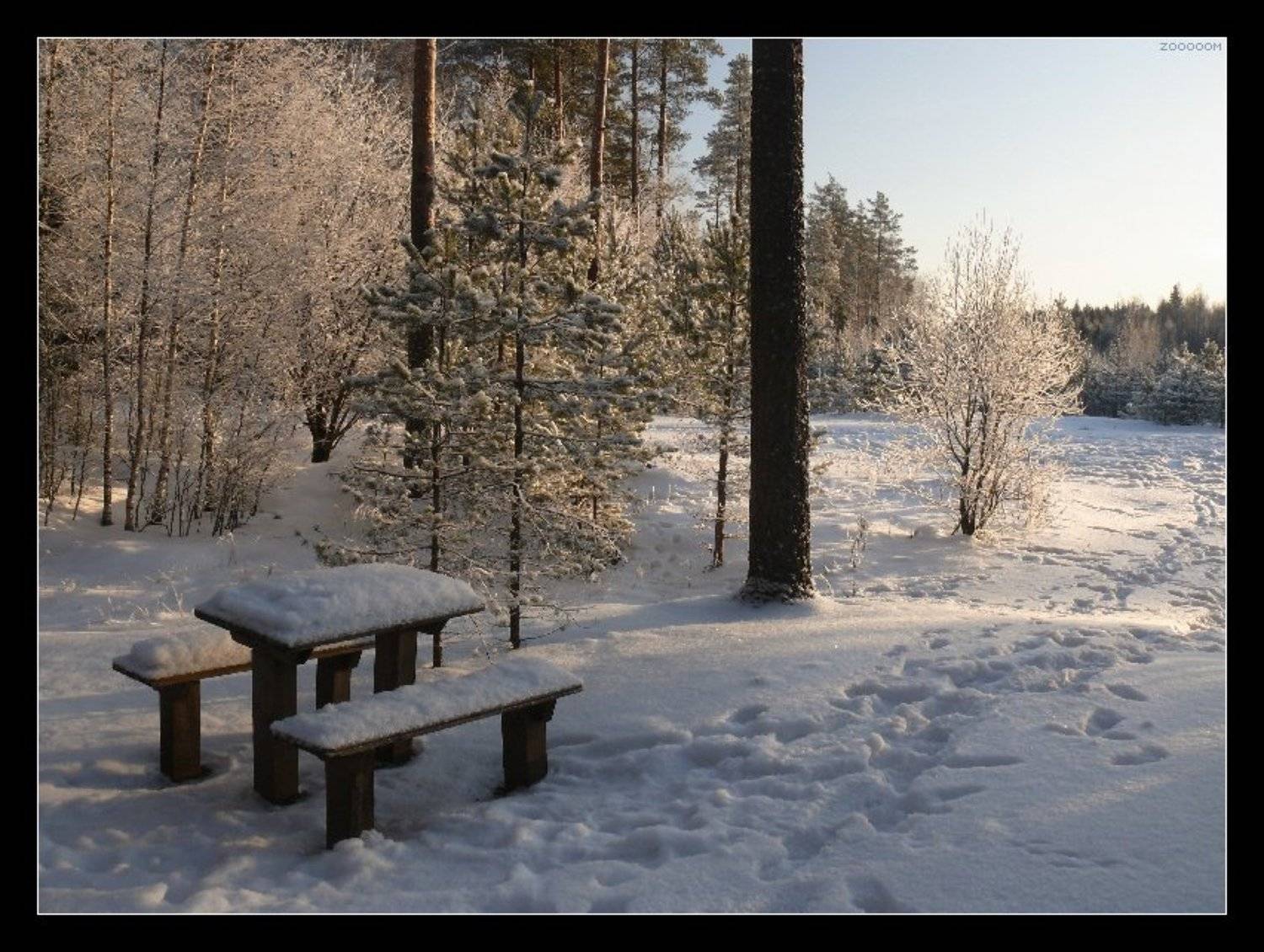 зима, Алексей (zooooom)