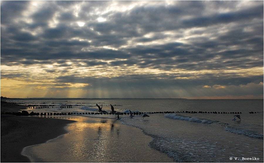 балтика, Вадько