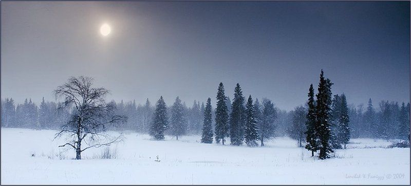 lenchik&faniz Стражники леса фото превью