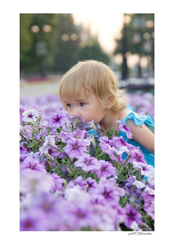 запах питуньи фото превью