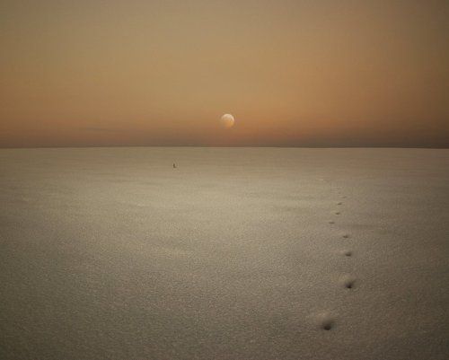 По следам лунного зайца.