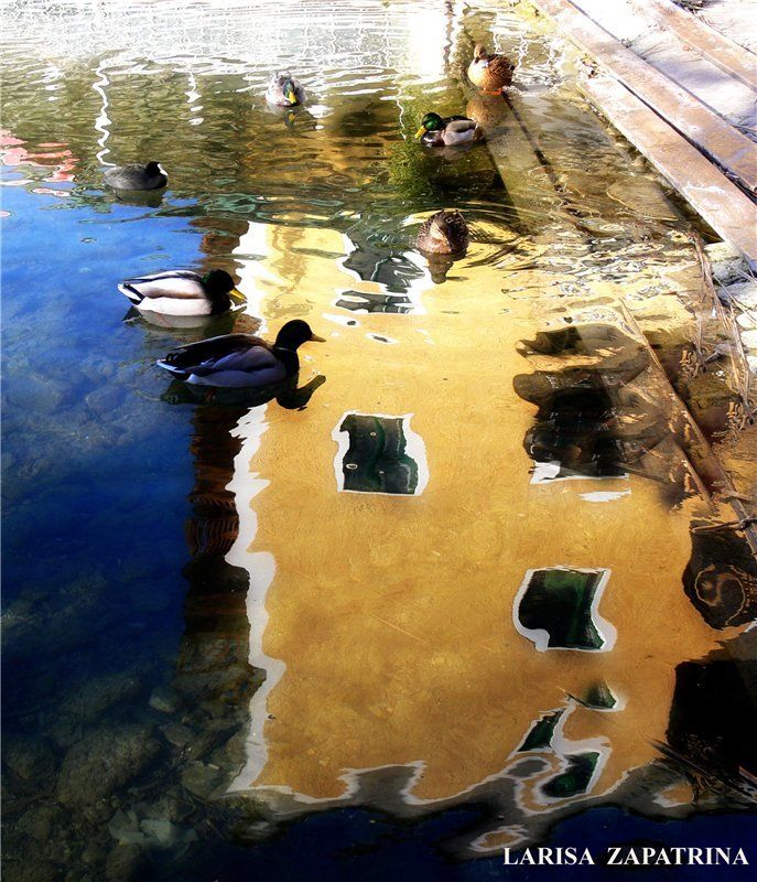 wolfangsee Озерный край фото превью