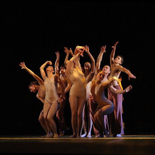 Языки жестов