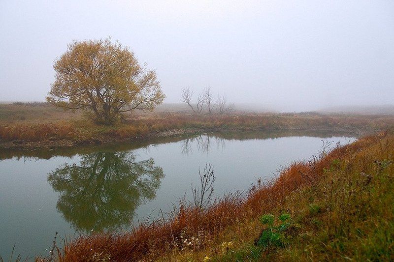 осень, озеро, дерево, туман Серия \