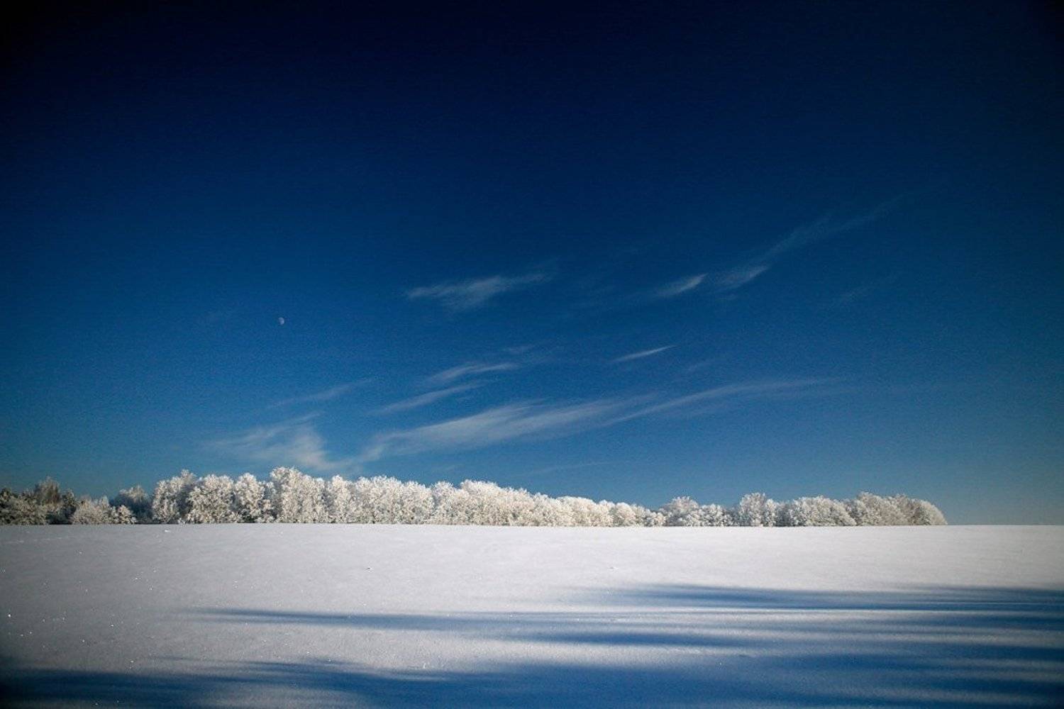 мороз, холод, природа, гринево, Lelya