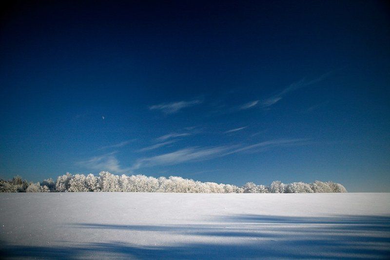 мороз, холод, природа, гринево *** фото превью