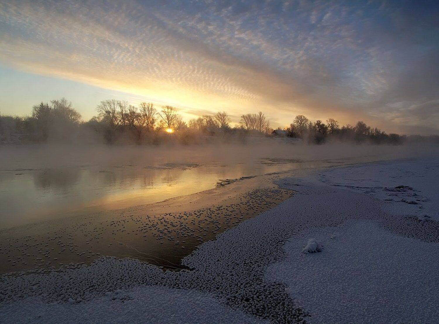 , Максим Евдокимов