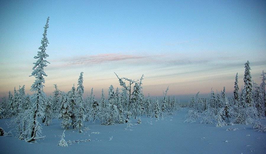 тайга,зима,тишина, Солодухин Виктор