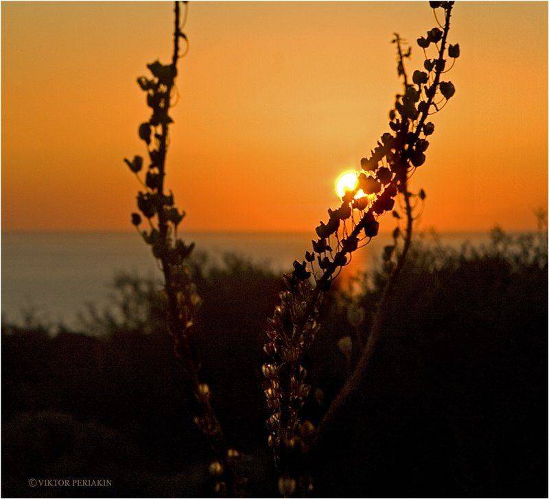 , Виктор Перякин