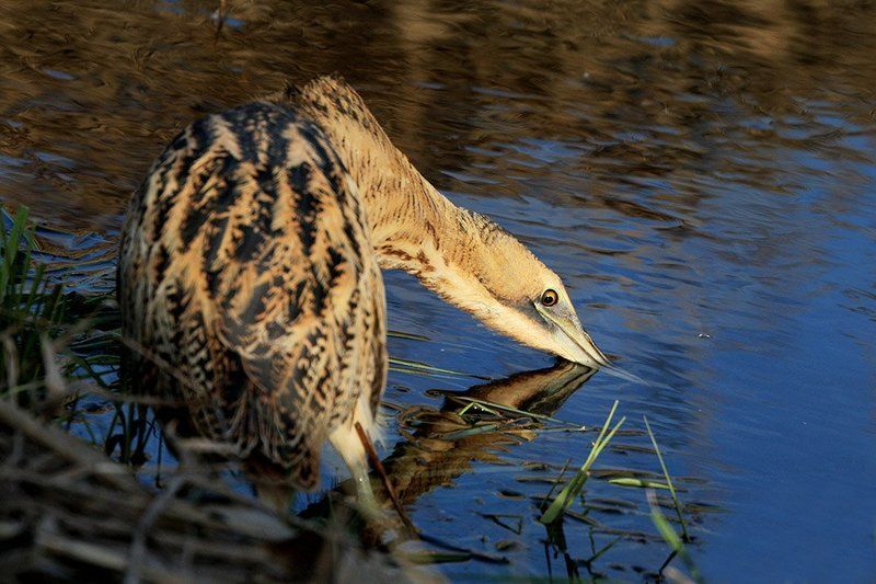 Улыбка фото превью