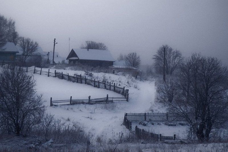 Синеватая зимняя вечерняя картинка с огородами в Б.Никитино фото превью