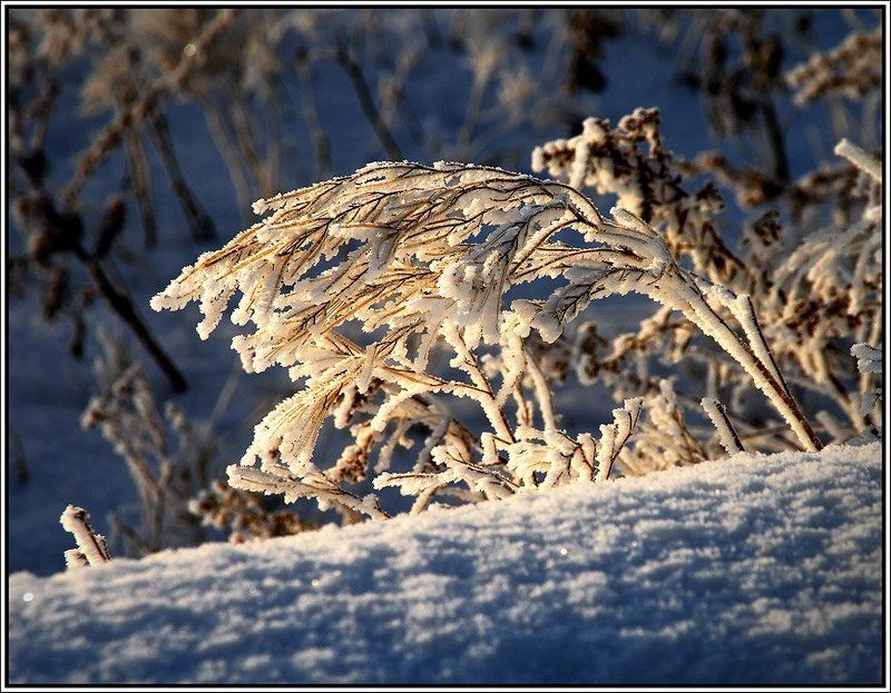 Новогодний наряд фото превью